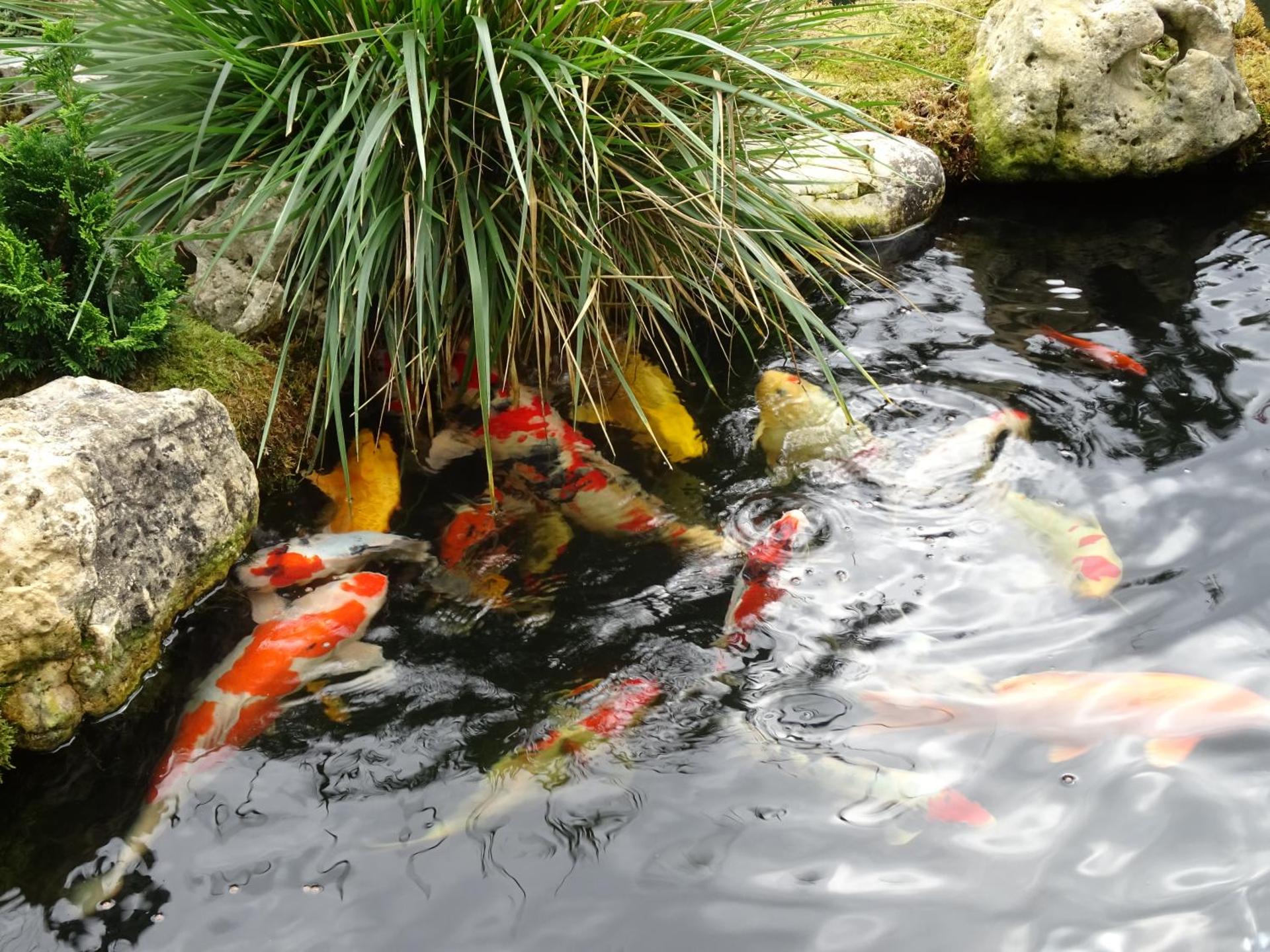 Gästehaus Biedermann