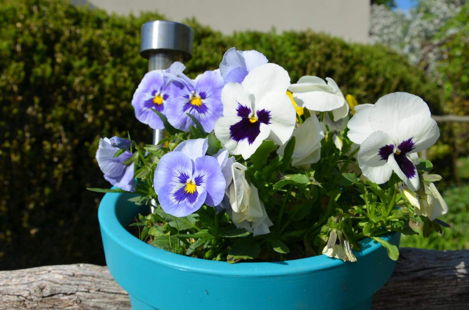 Domek całoroczny MARKO