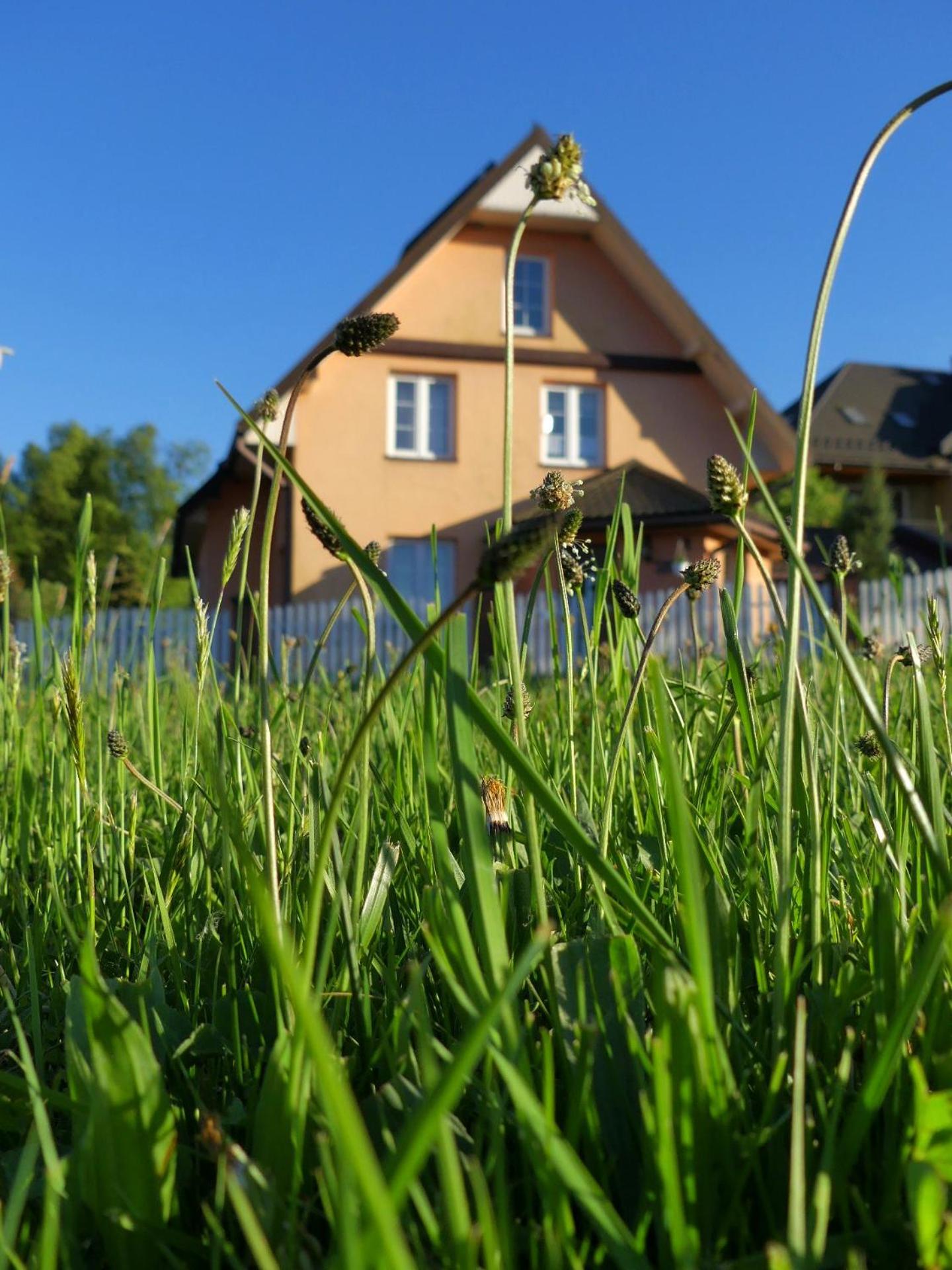 Dom Gościnny Orange