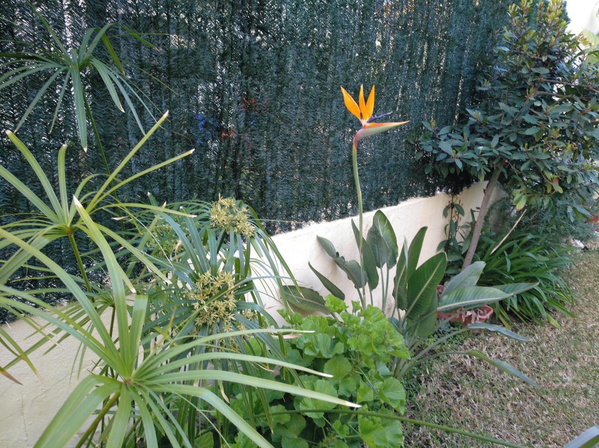 Precioso chalet en la playa de Tavernes de la Valldigna