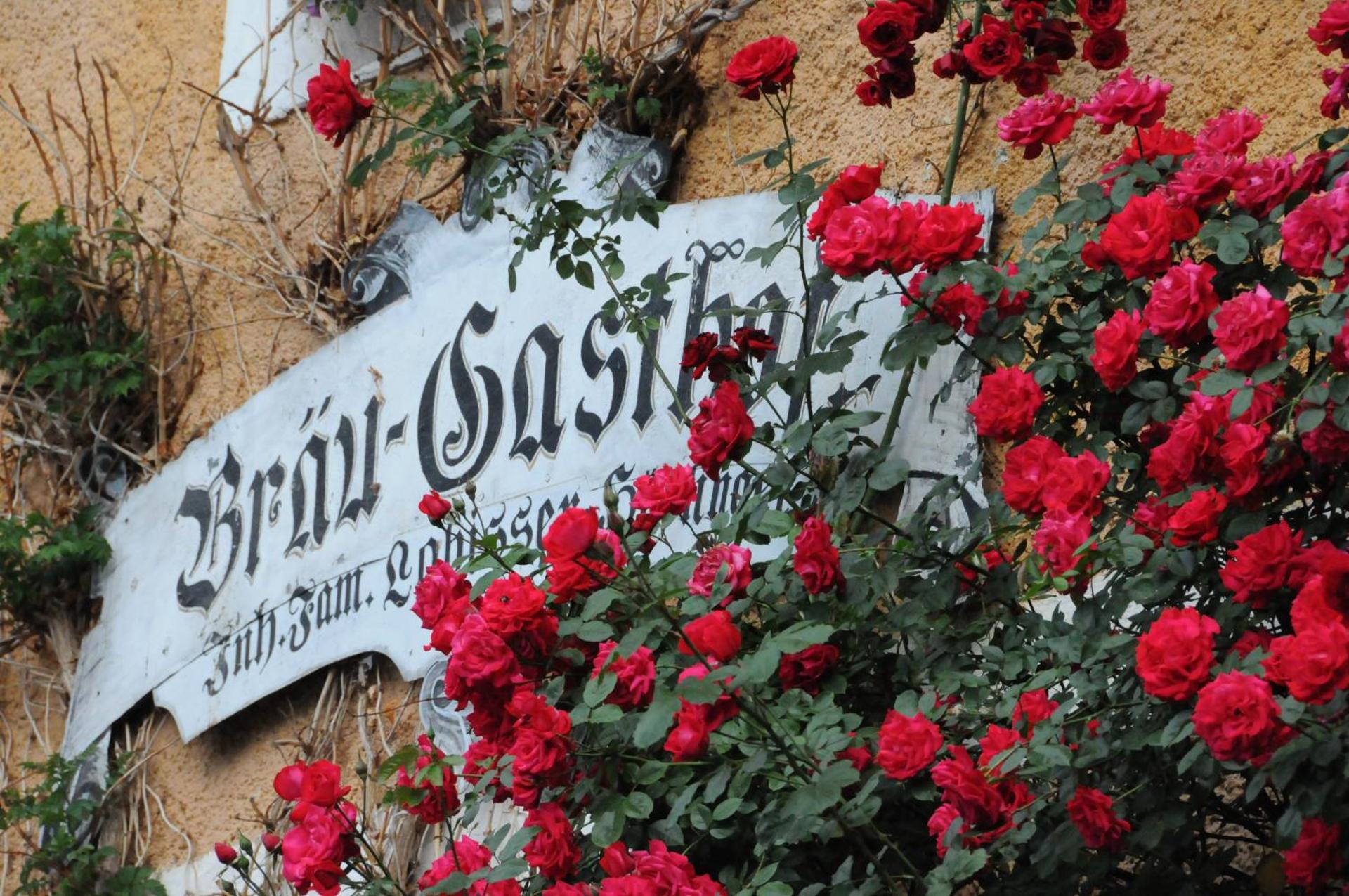 Property logo or sign