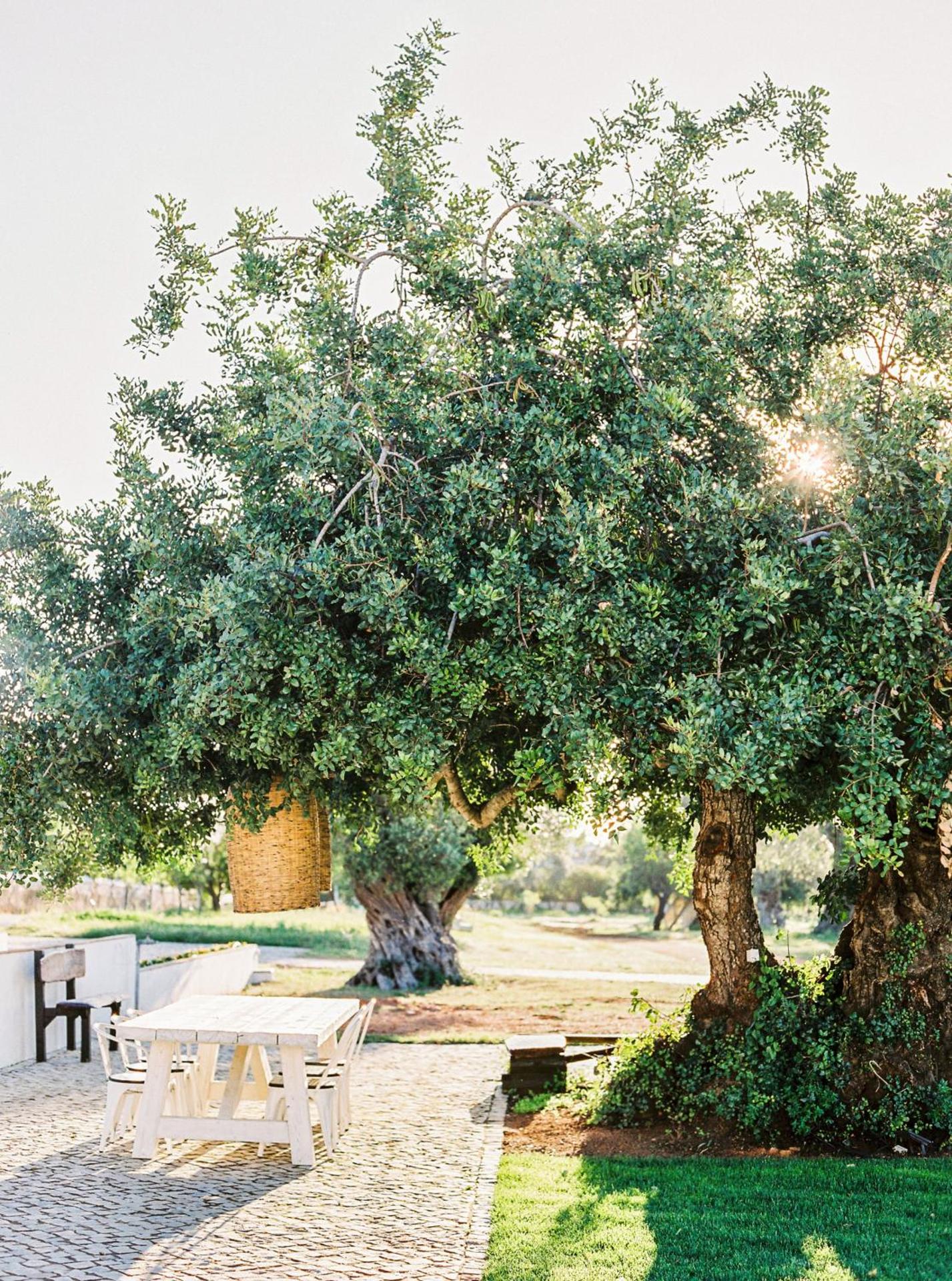 Conversas de Alpendre