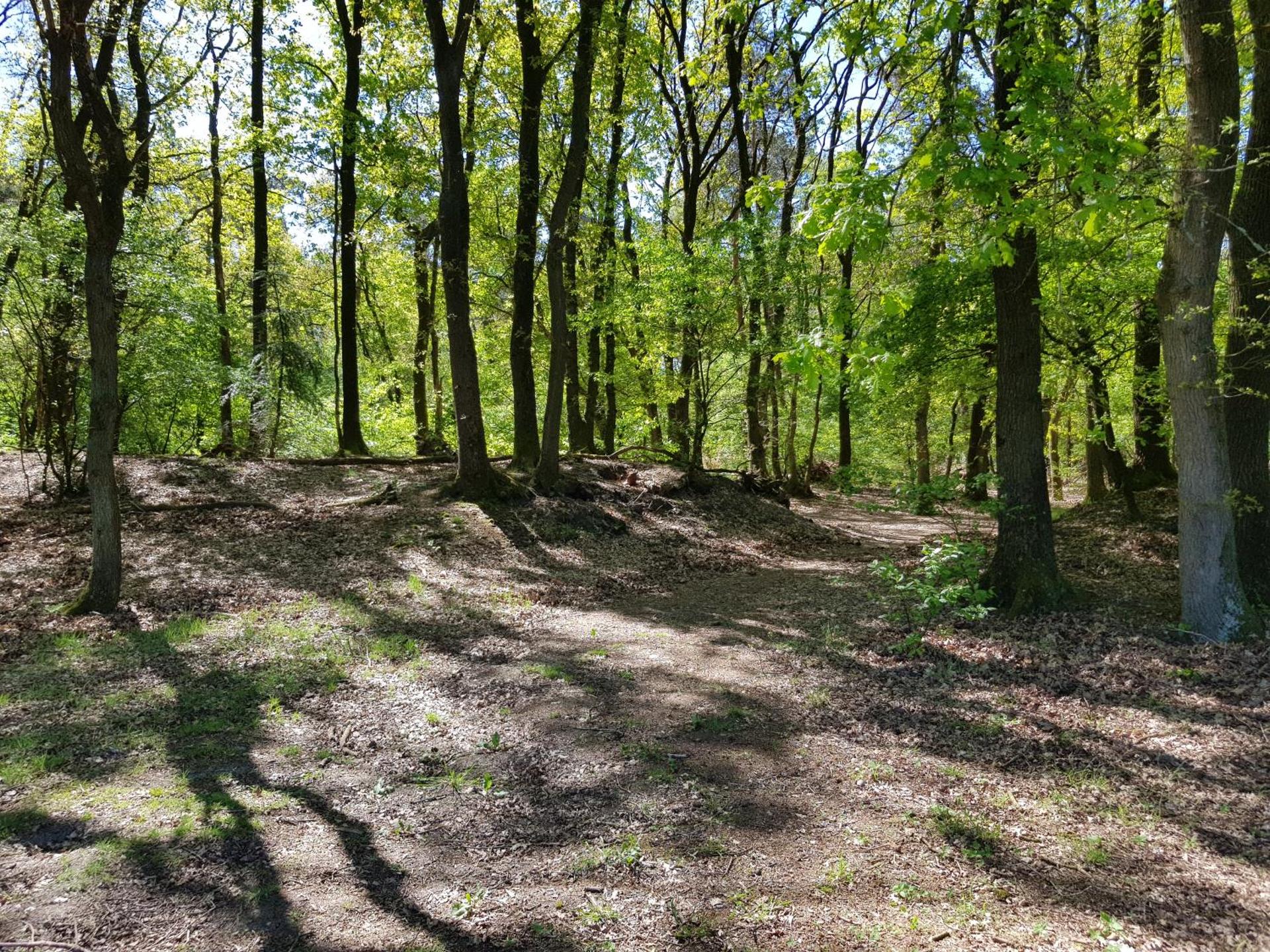 Bungalow Hartje Veluwe