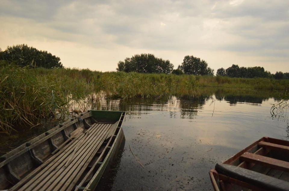 Horgász-Vadász Vendégház