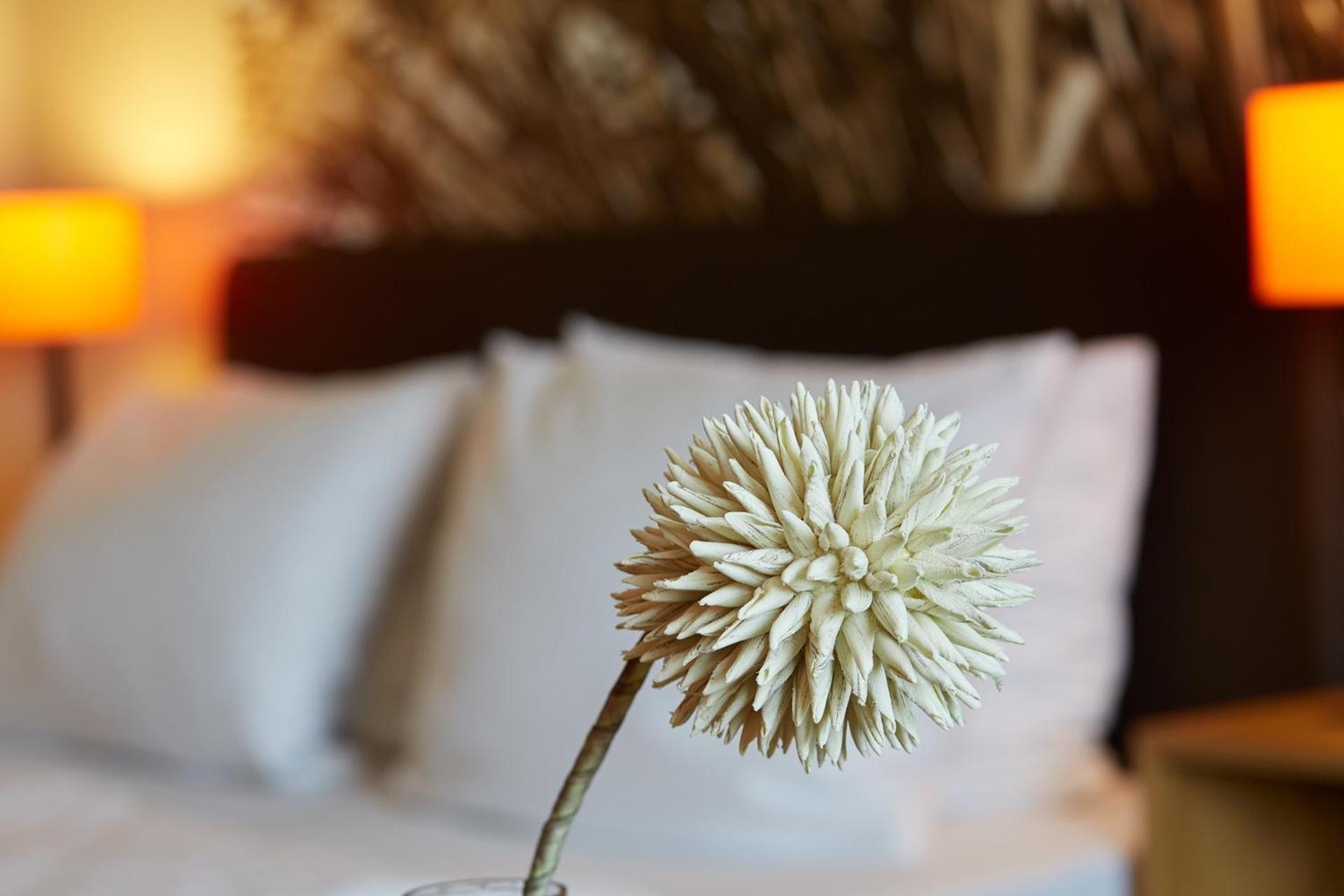 Hotel & Restaurant Schröder