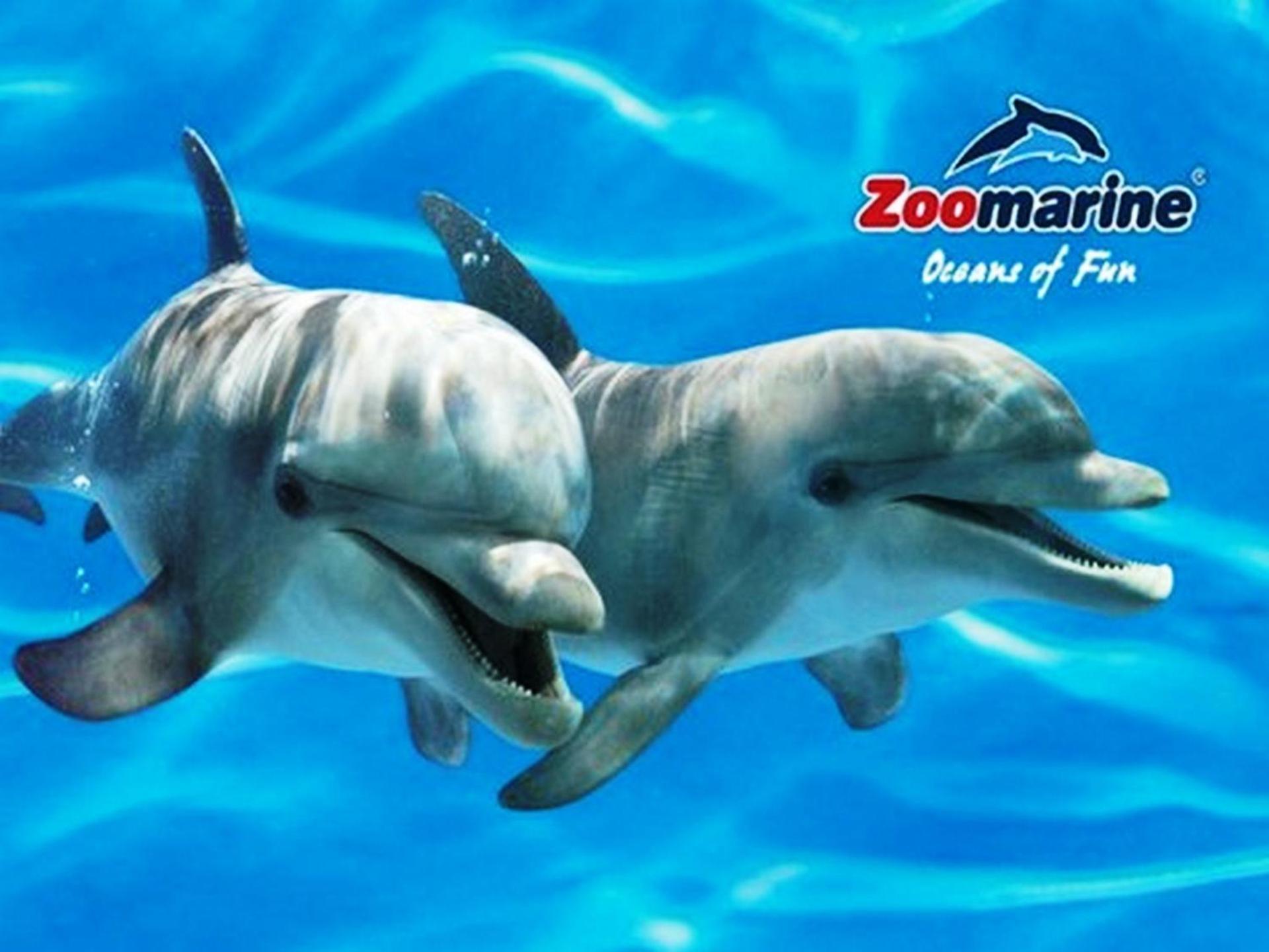 Children play ground