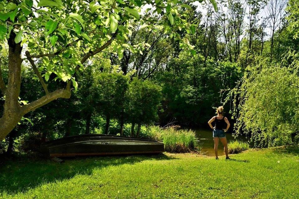 Víz-Party vendégház