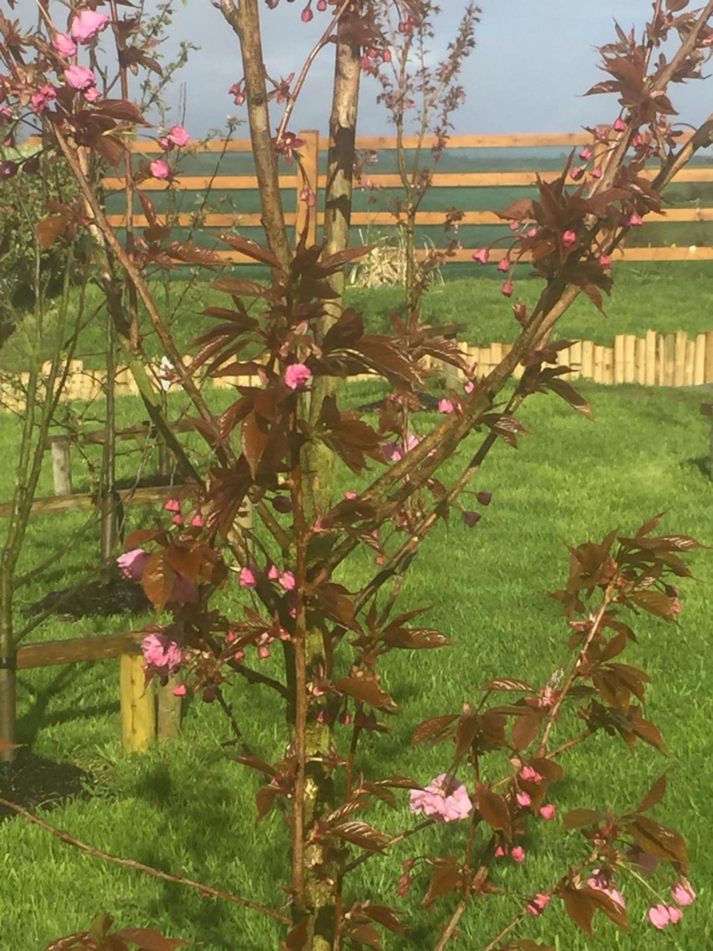 Clonakilty Accommodation