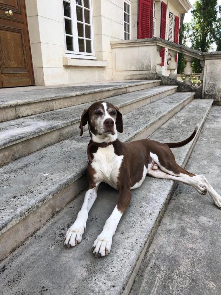 Le domaine de barbizon