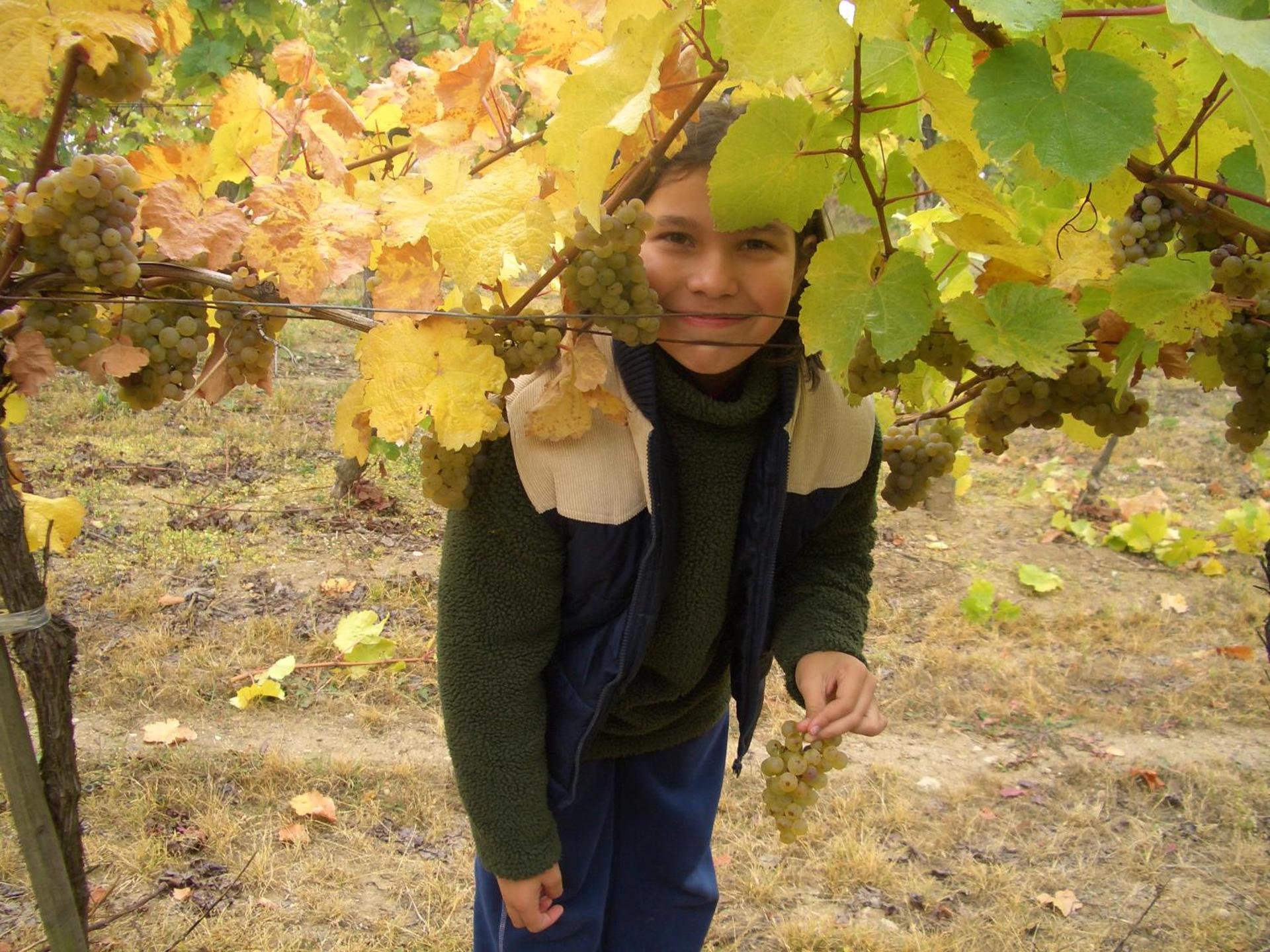 Prabatsch-Aichinger Winzergut