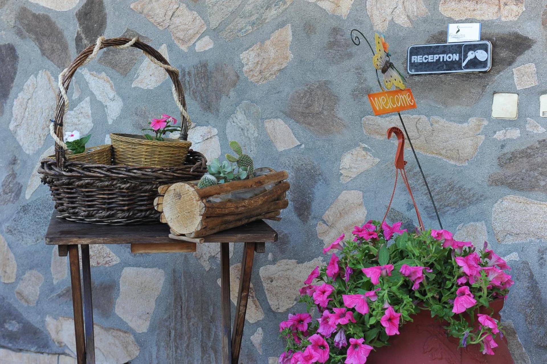 Ξενώνας Κερκινίτης