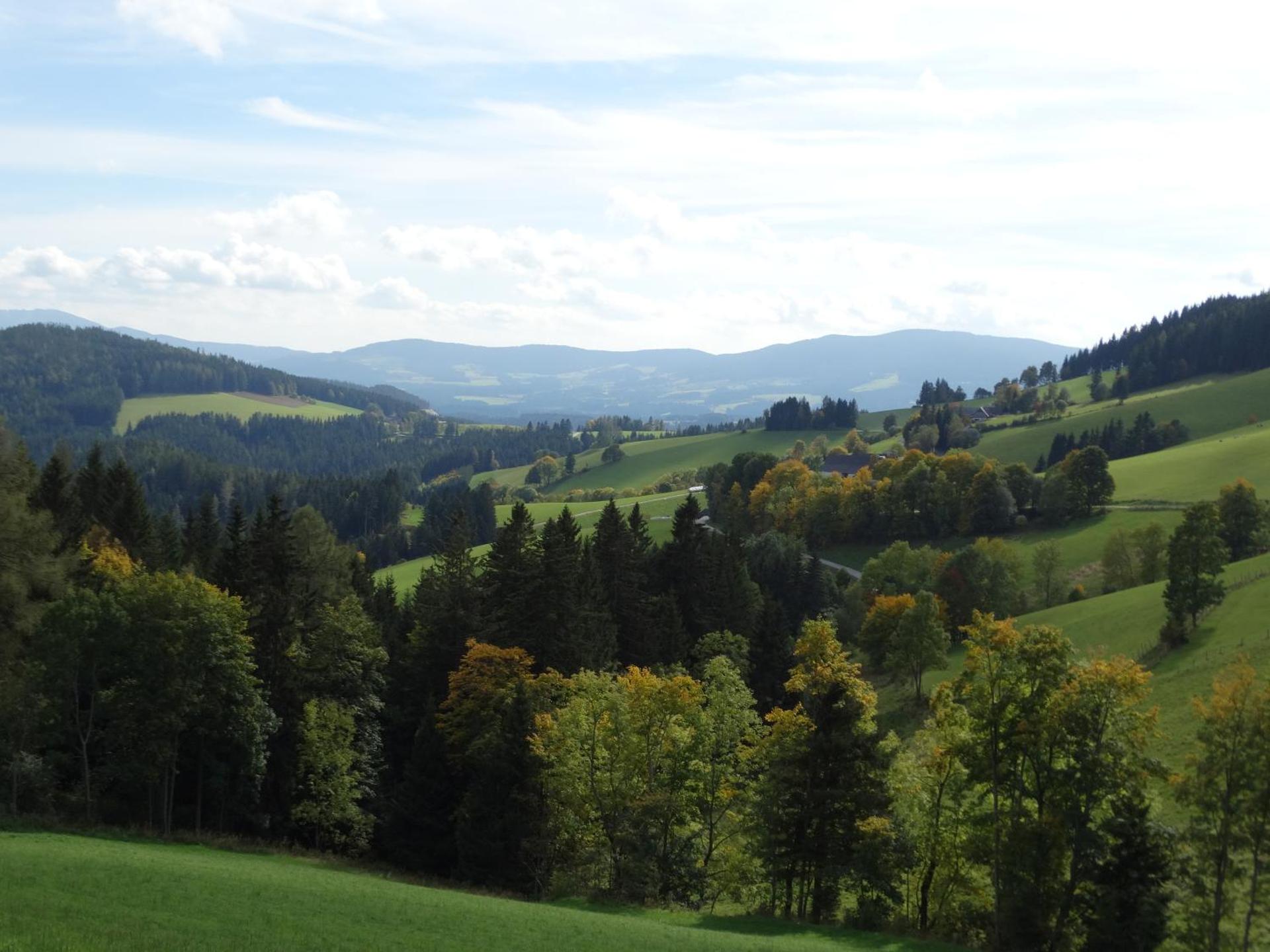 View (from property/room)