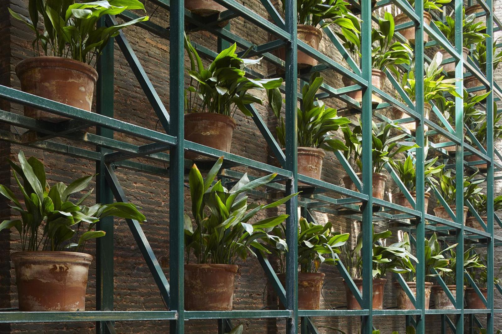 King Room with Garden View