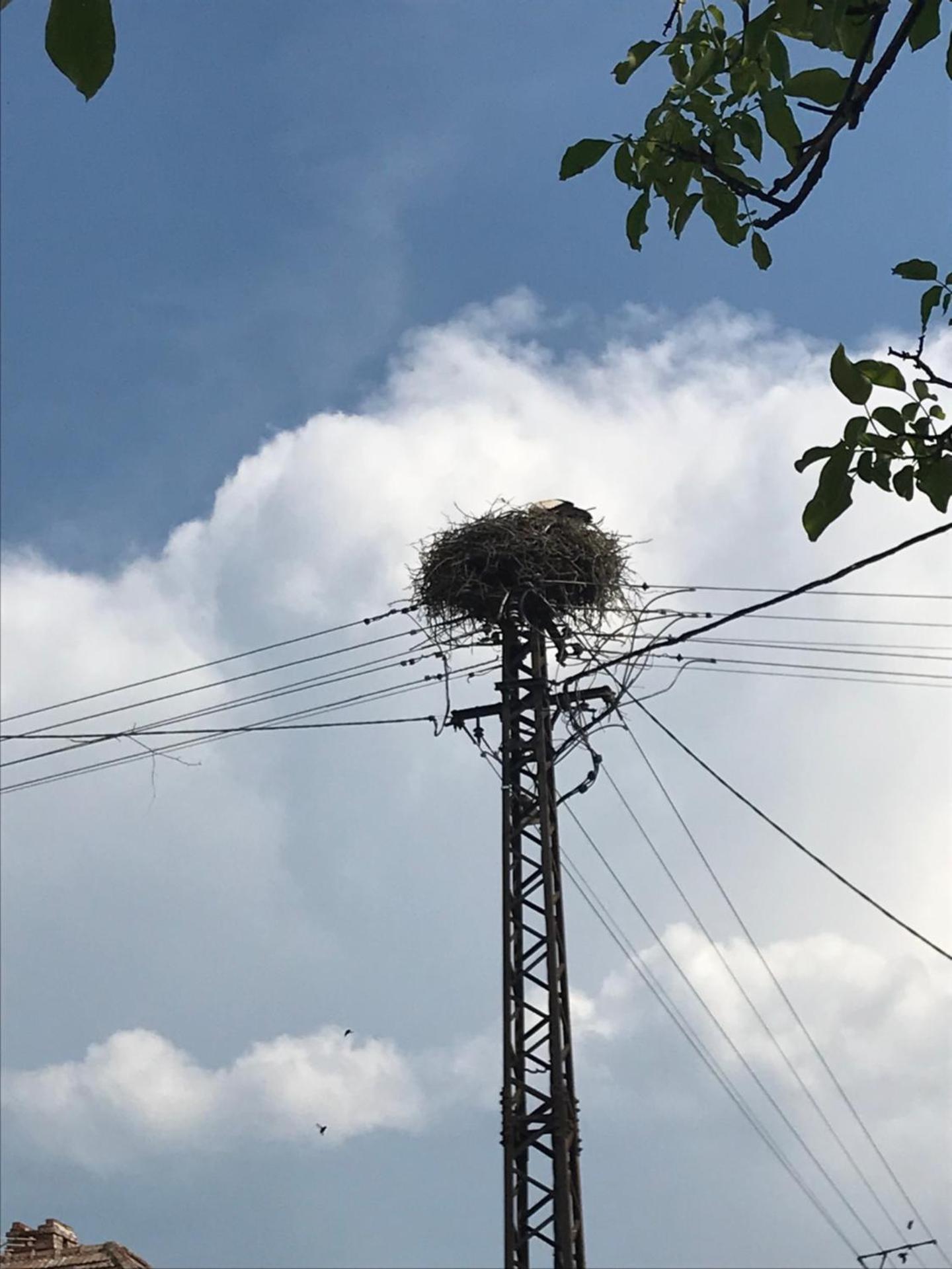 Gólyásház apartman