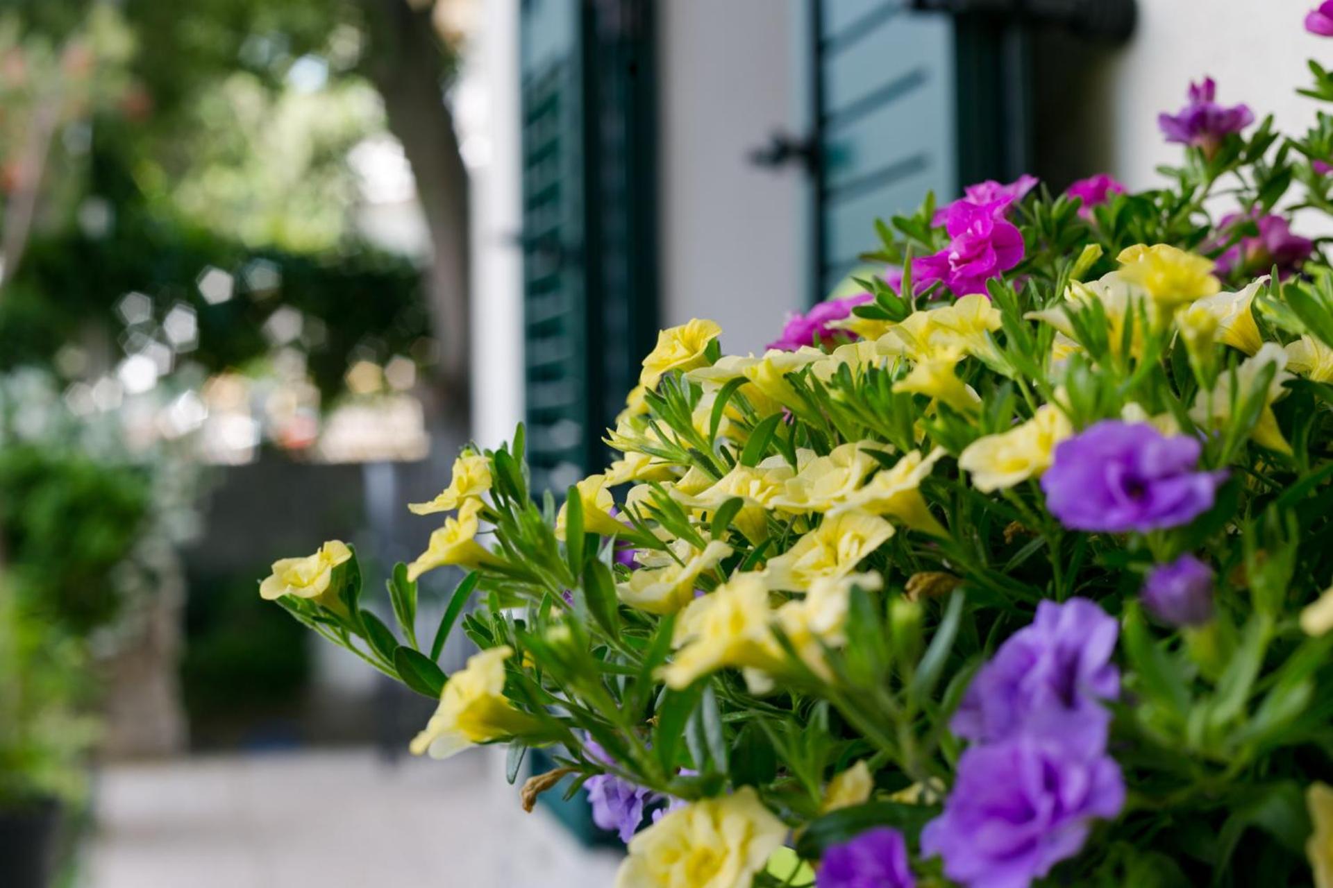 Vana & Tea Luxury Studio Apartment