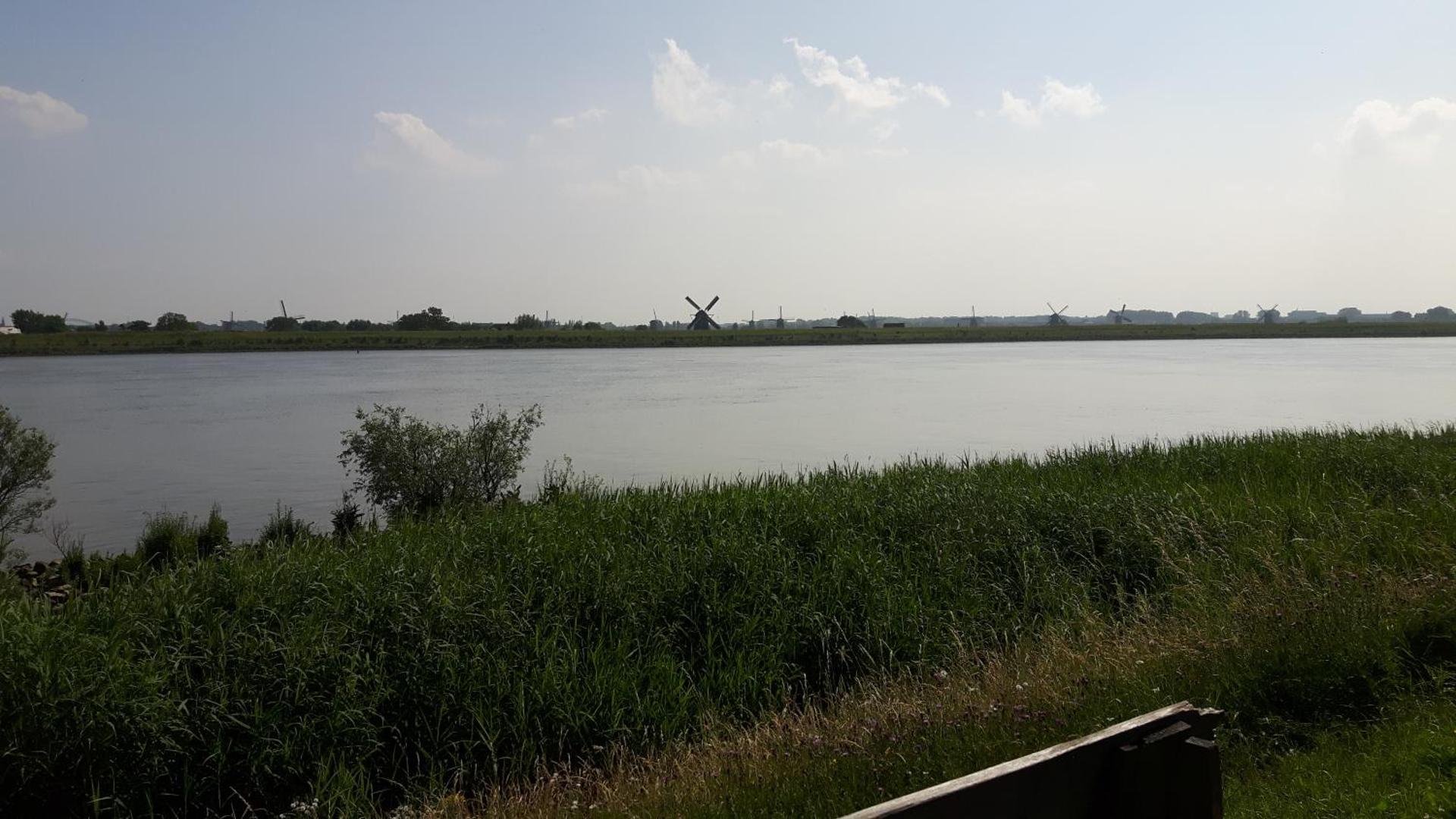 Theetuin Onder de Pannen