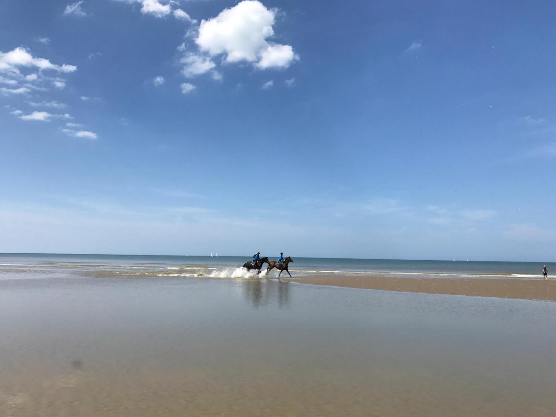 Koksijde App Zeelaan B3