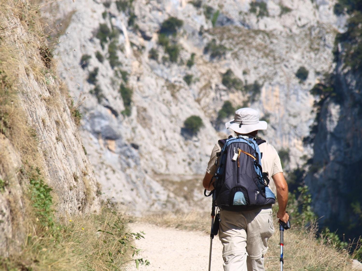 La Llobera Apartamentos
