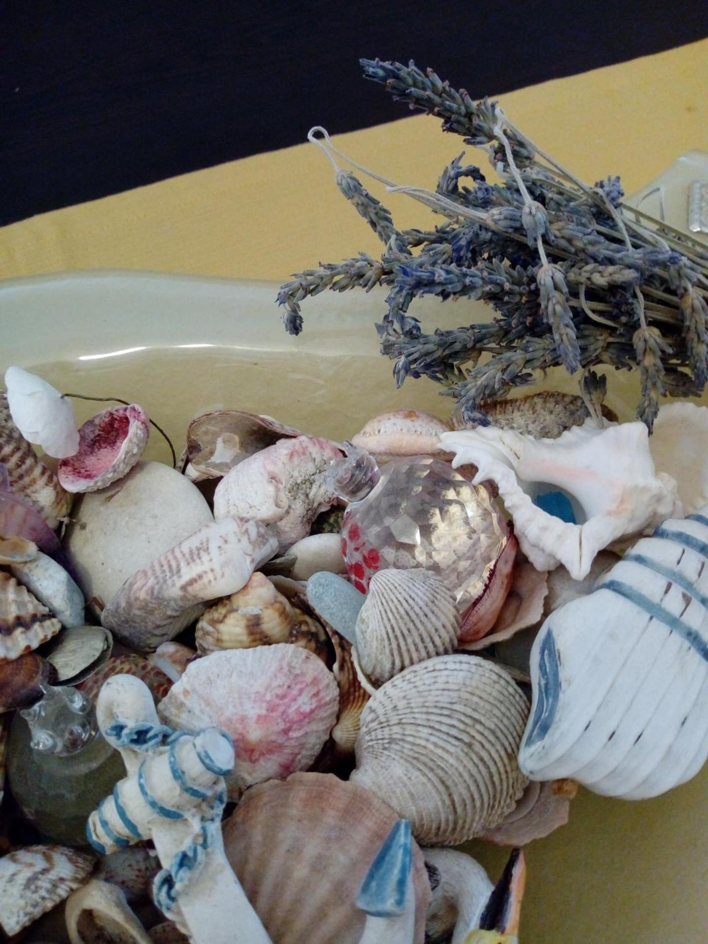 odys apartment centrer of town