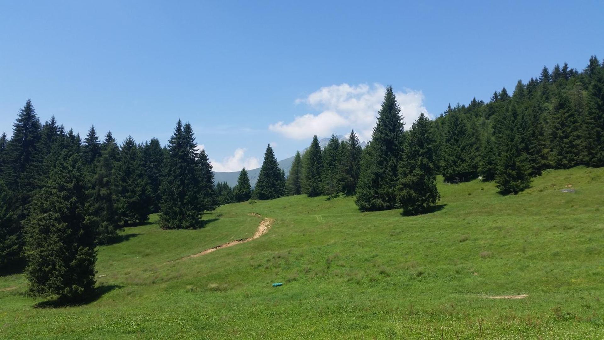 L’Invólt Mountain Lodge