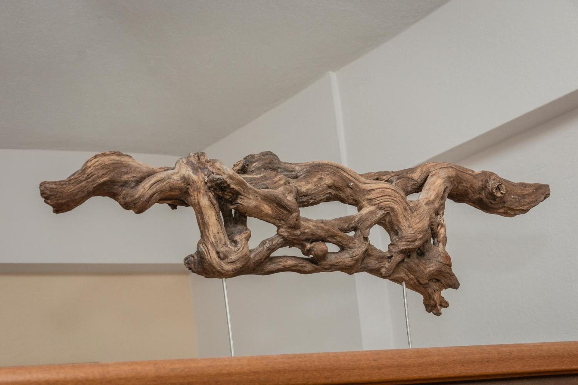 Ta Spitakia Tsarbopoulos