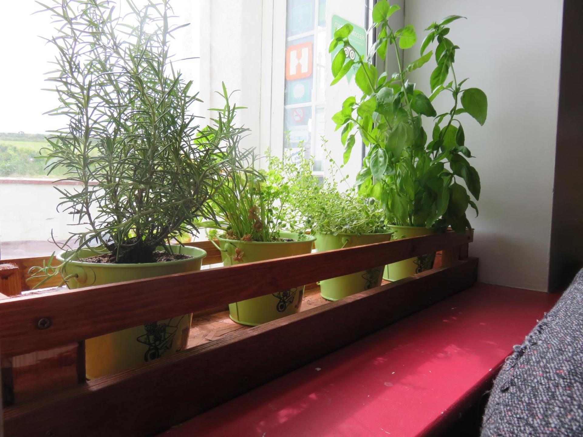 View (from property/room)