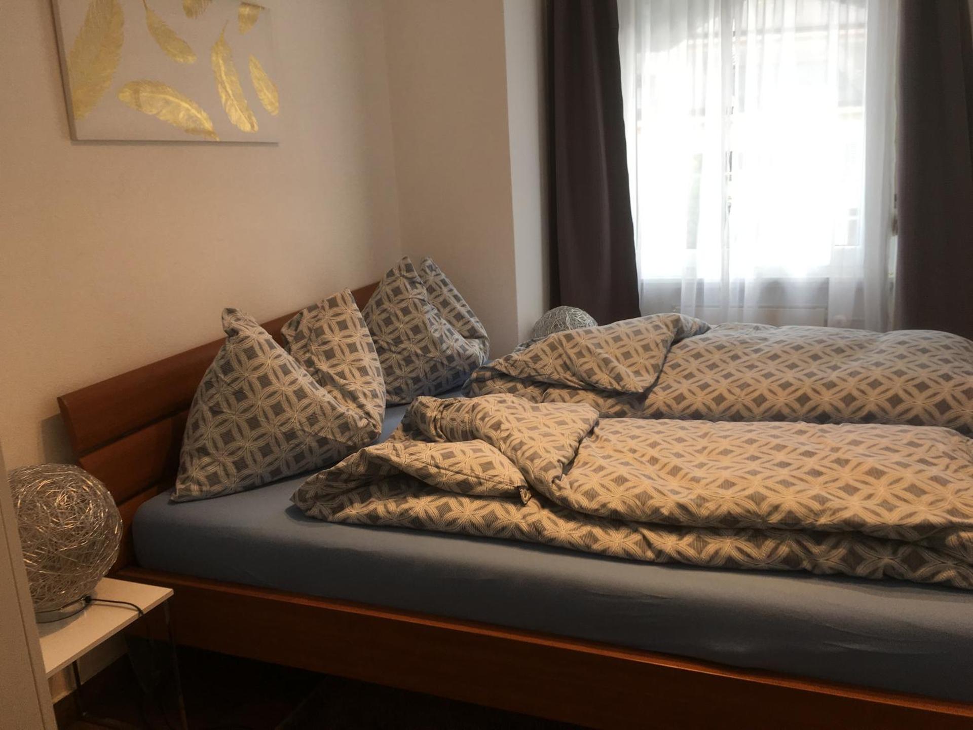 Apartments Steinbock