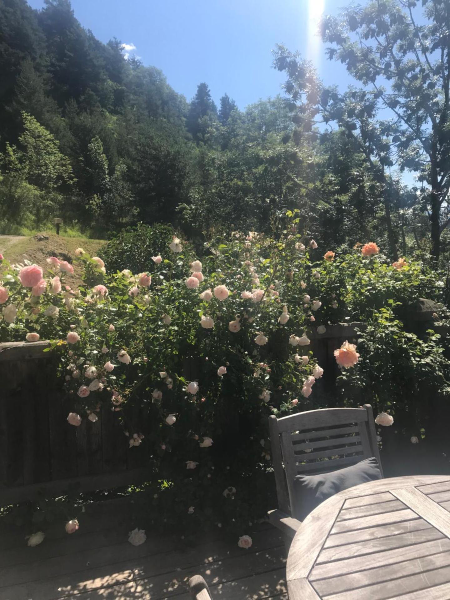 Chez Fred et Carine (Petit-déjeuner bio inclus)