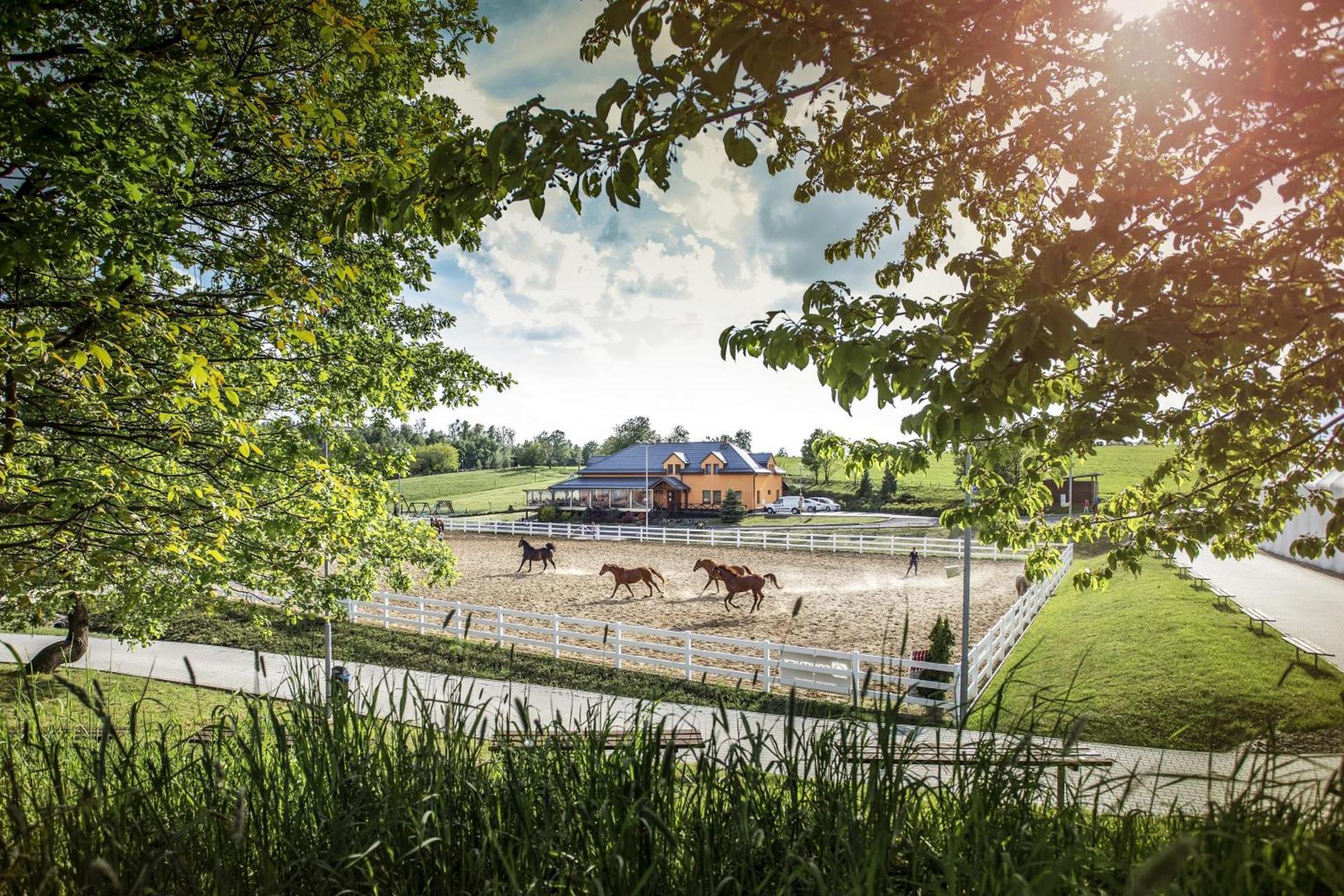 Hotel Horse Riding - Jezdecký Areál Tršice