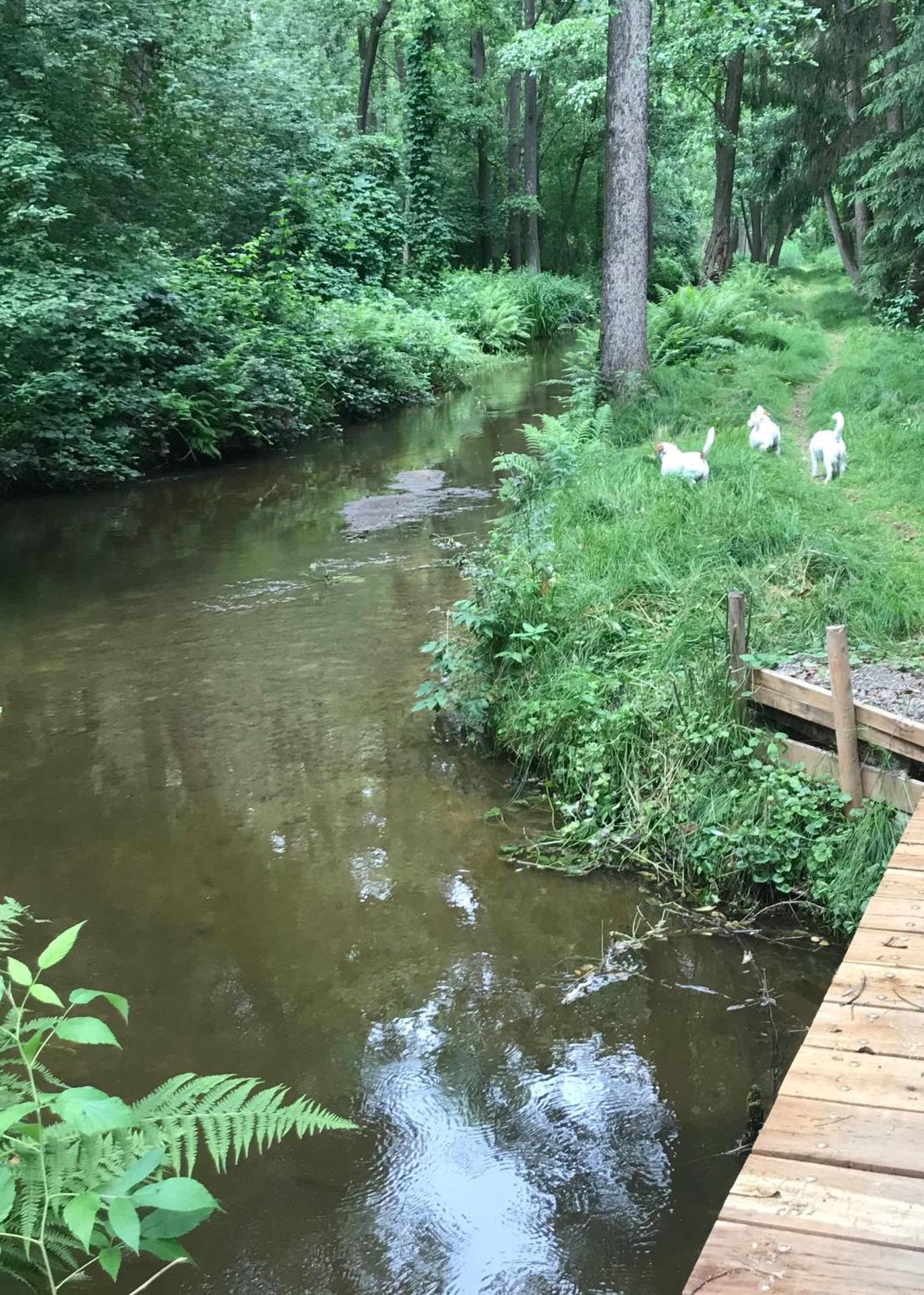 Ubytování Světluška