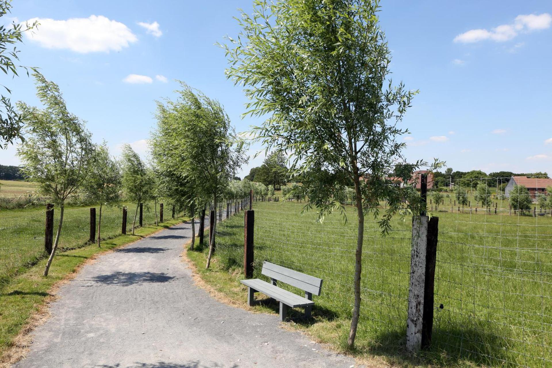 Children play ground