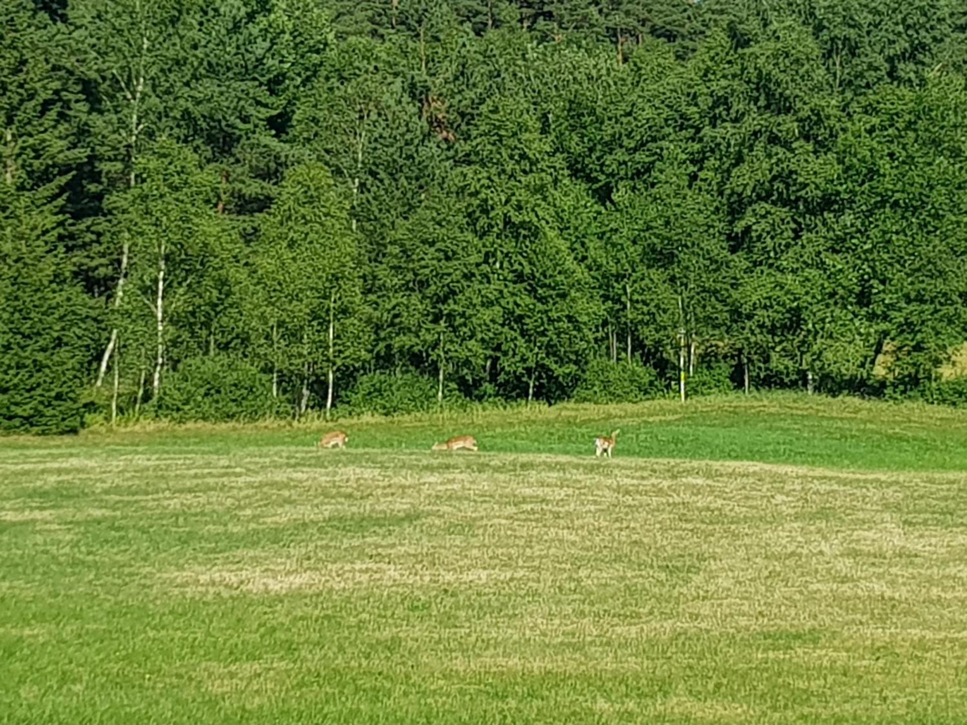 Gärdesgården Lillstugan