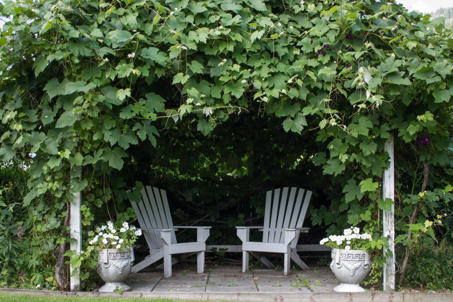 Genelle House B&B Guest House