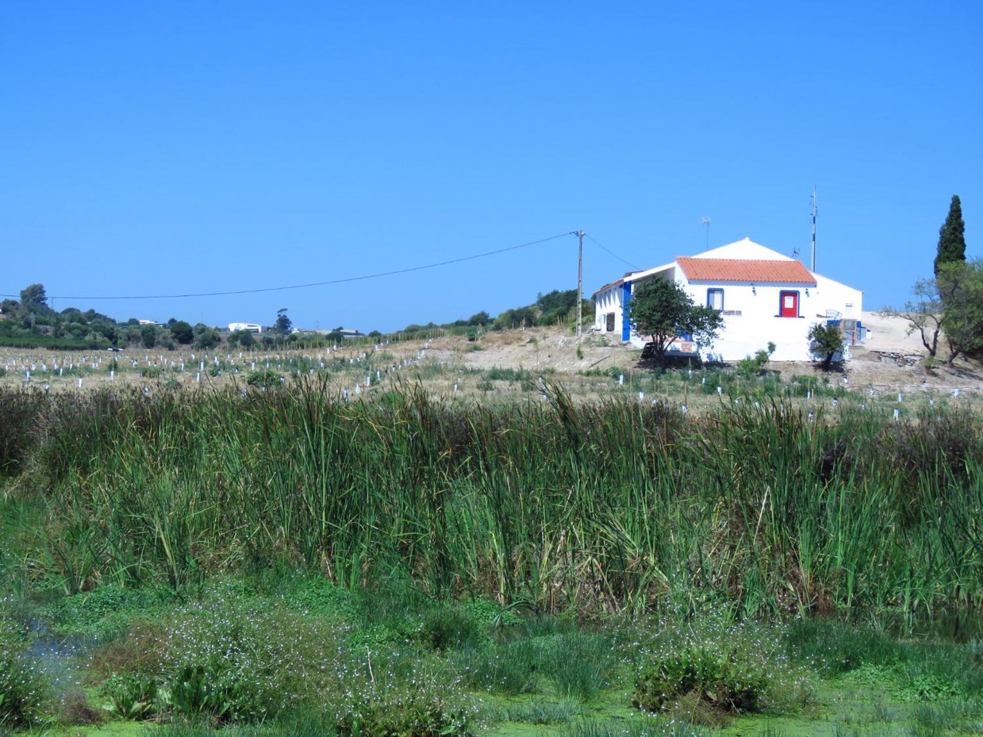 Vale do Boto-Quinta com 3 casas