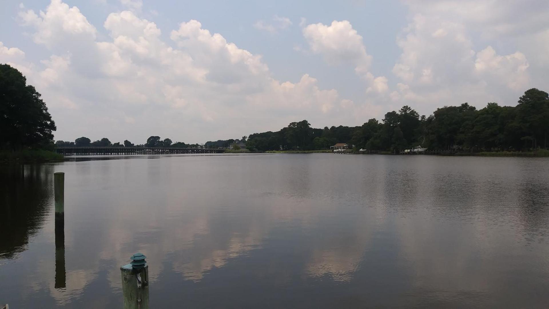 Marvels on the creek