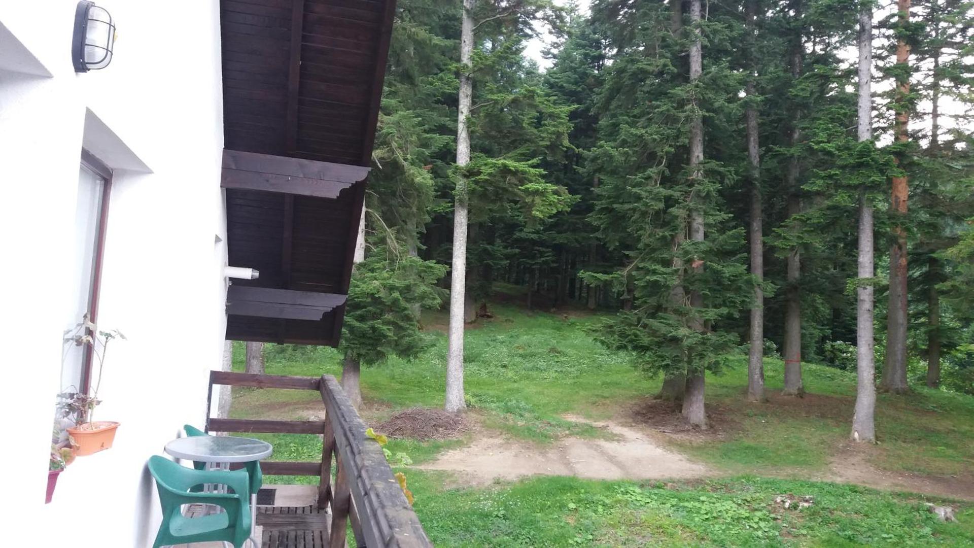 Green Forest Apartments