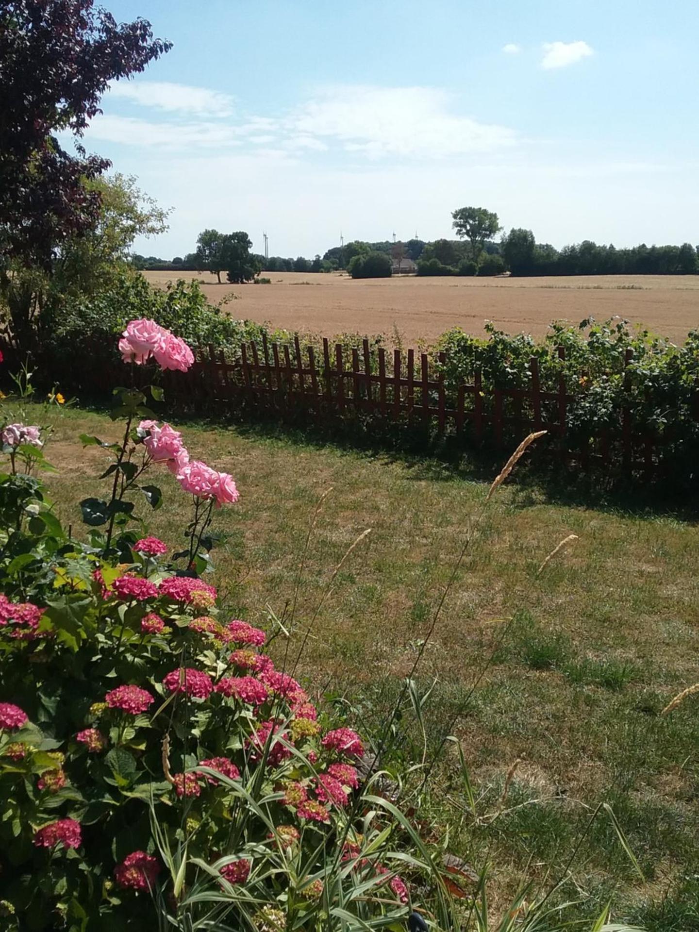 ostseeurlaub-asmussen