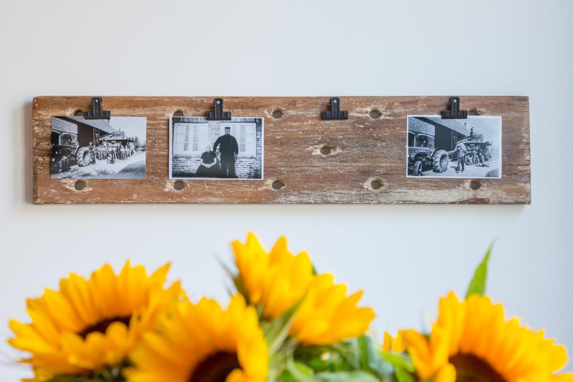 Welcome in - Vakantiehuis 't Blauwtje met ruime tuin I Lepelstraat 18A