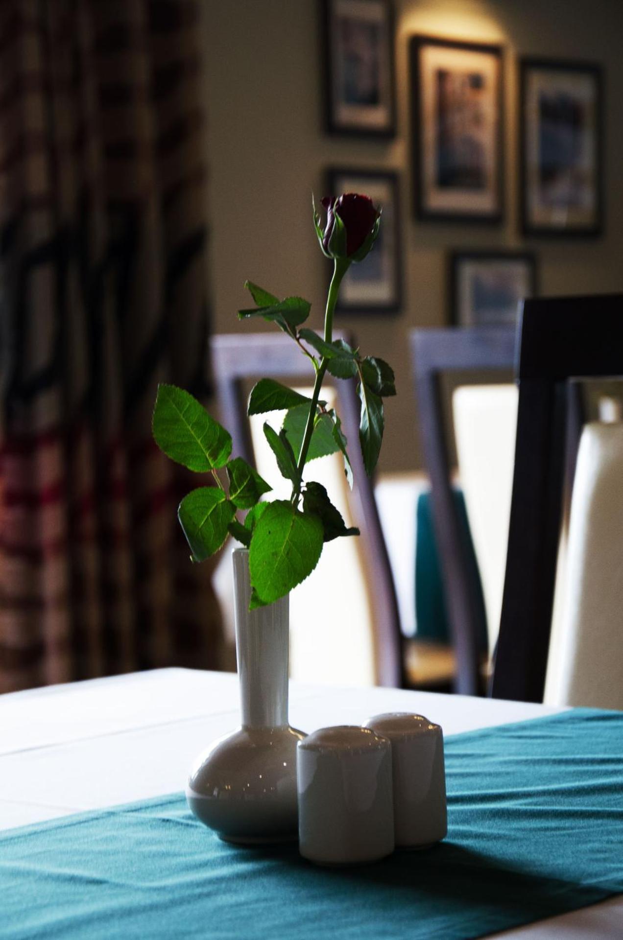 Pokoje gościnne WiP