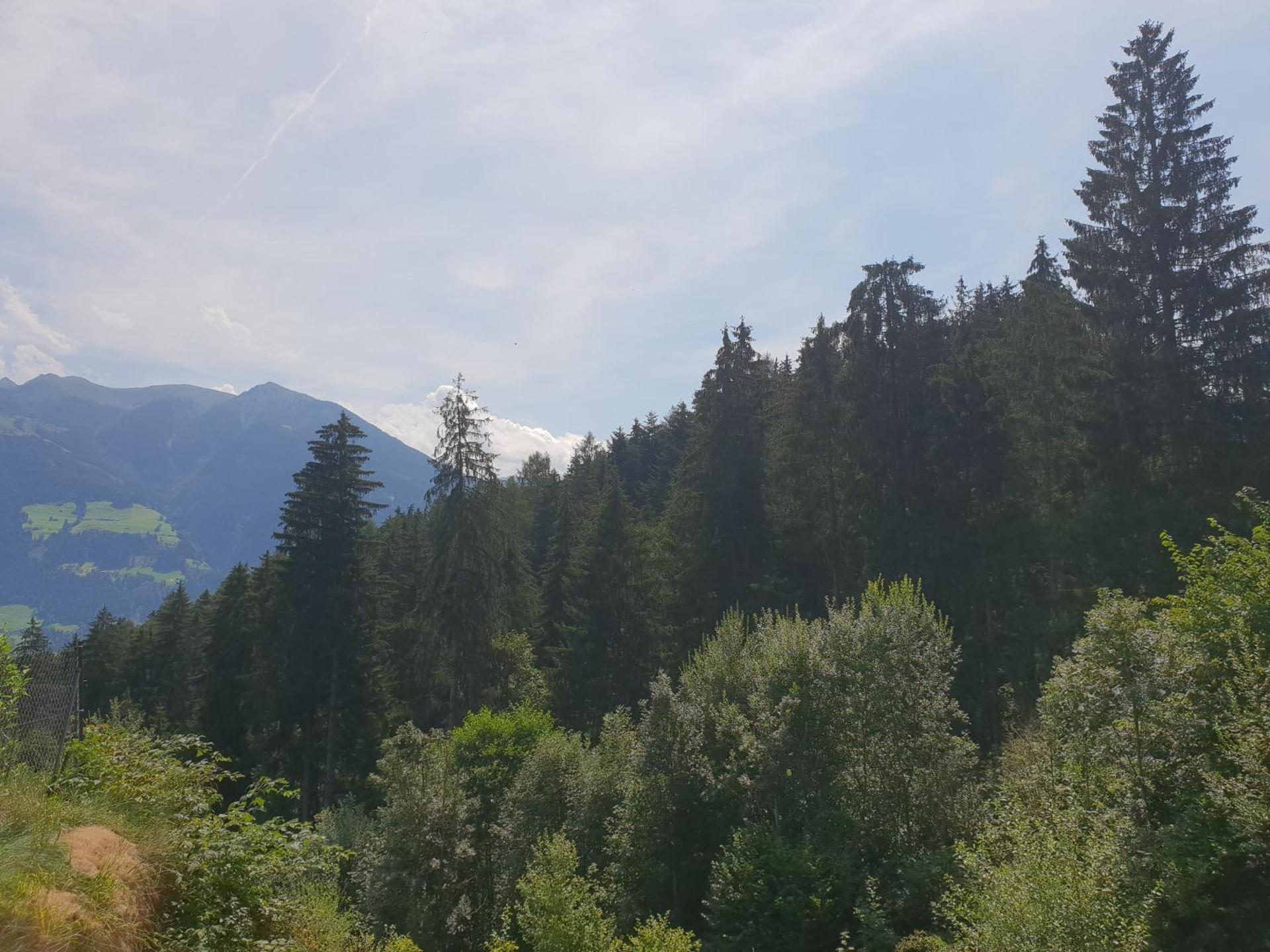 Ferienwohnung Colleen