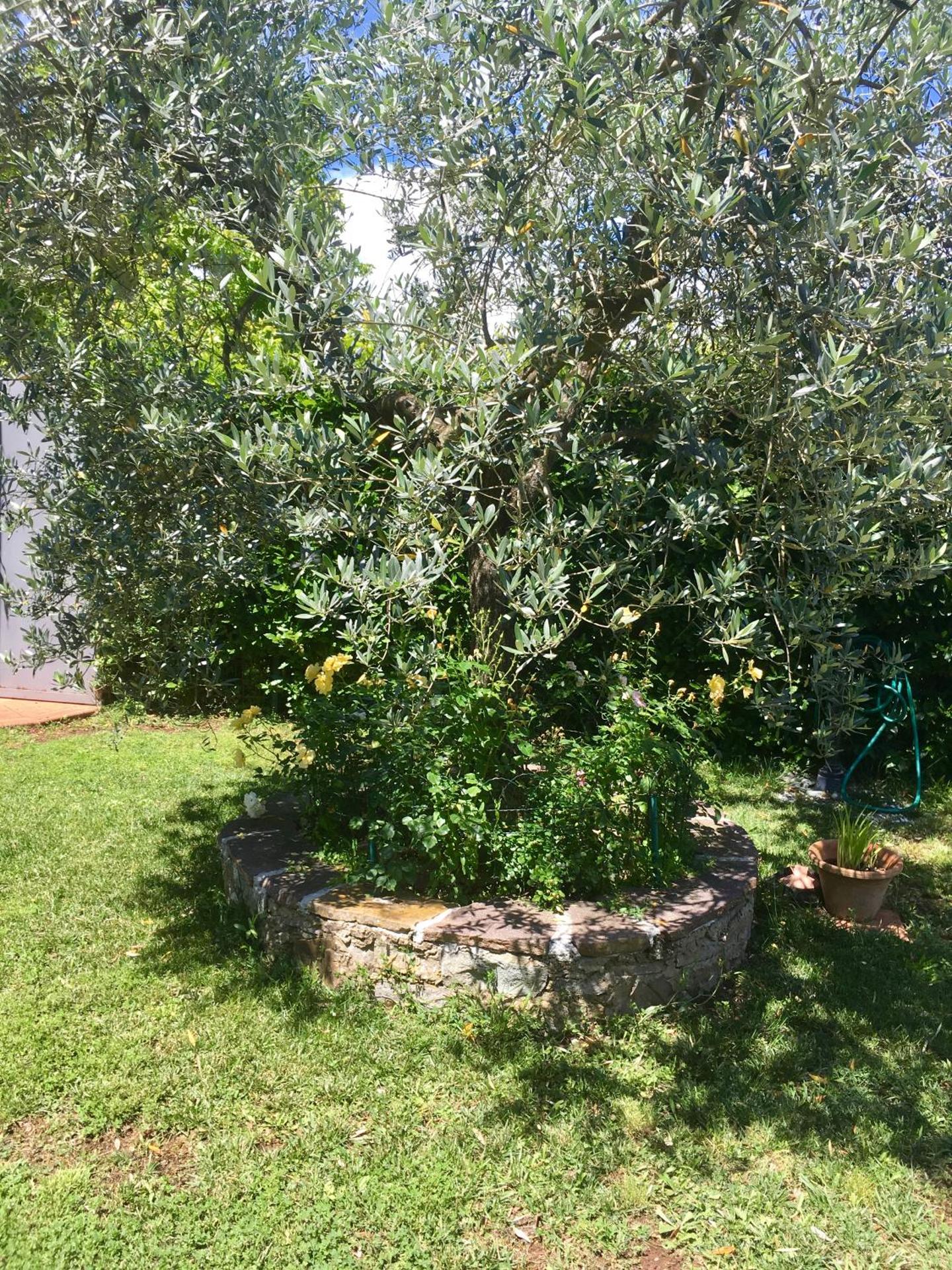 La Casina di Eleonora