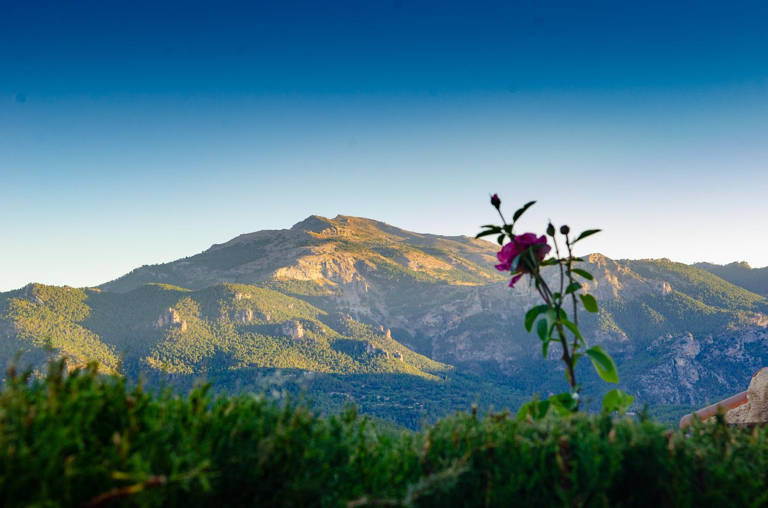 Casas Rurales Mirador del Mundo