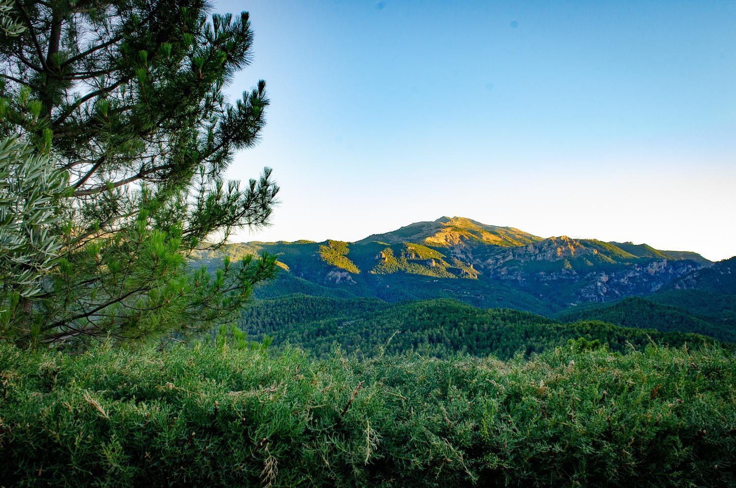 Casas Rurales Mirador del Mundo