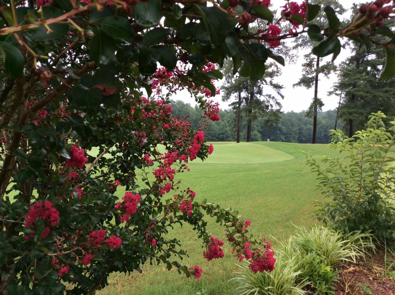 The Inn at Houndslake