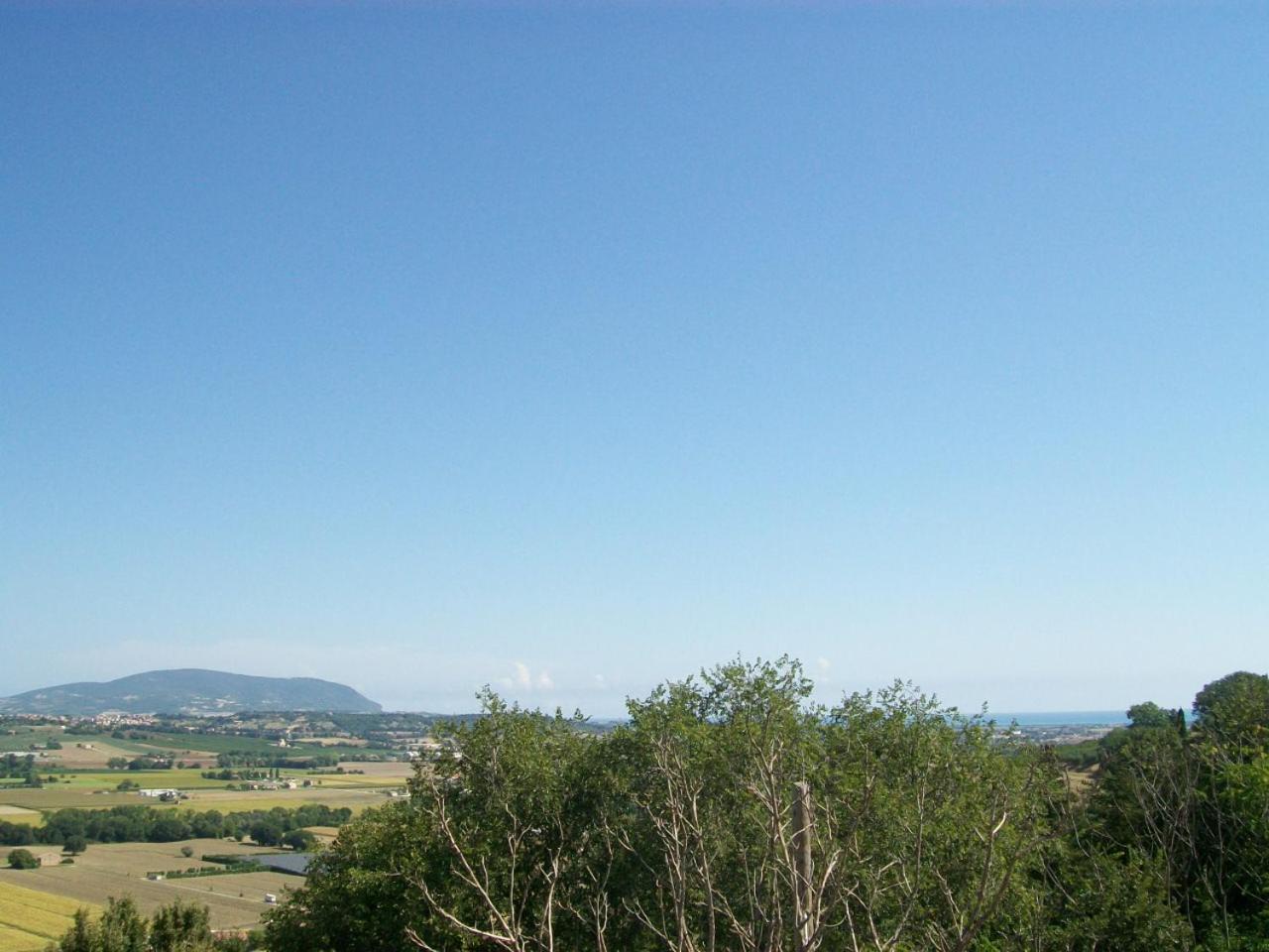 Affittacamere il girasole