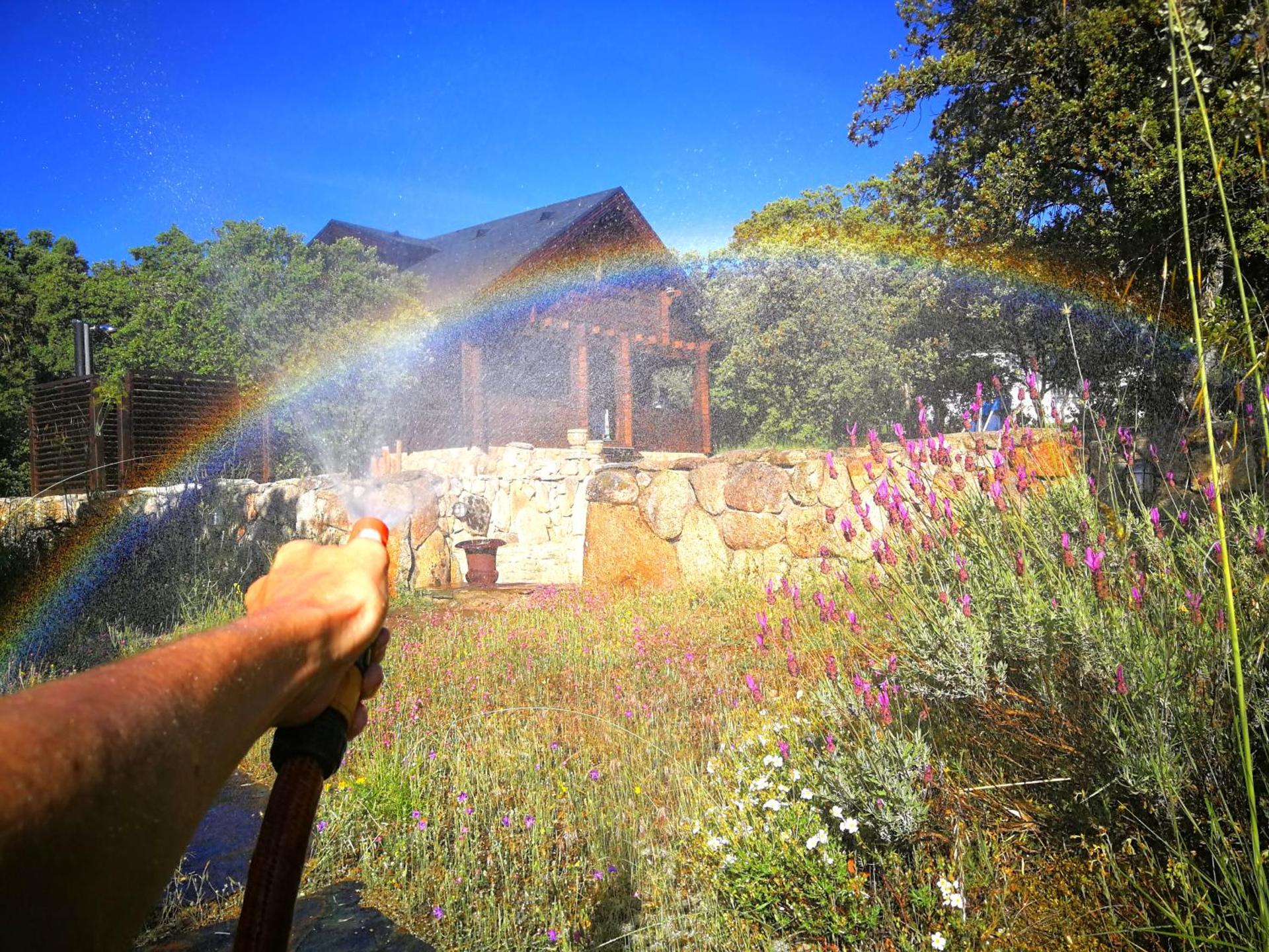 El Rincon de tus Sueños