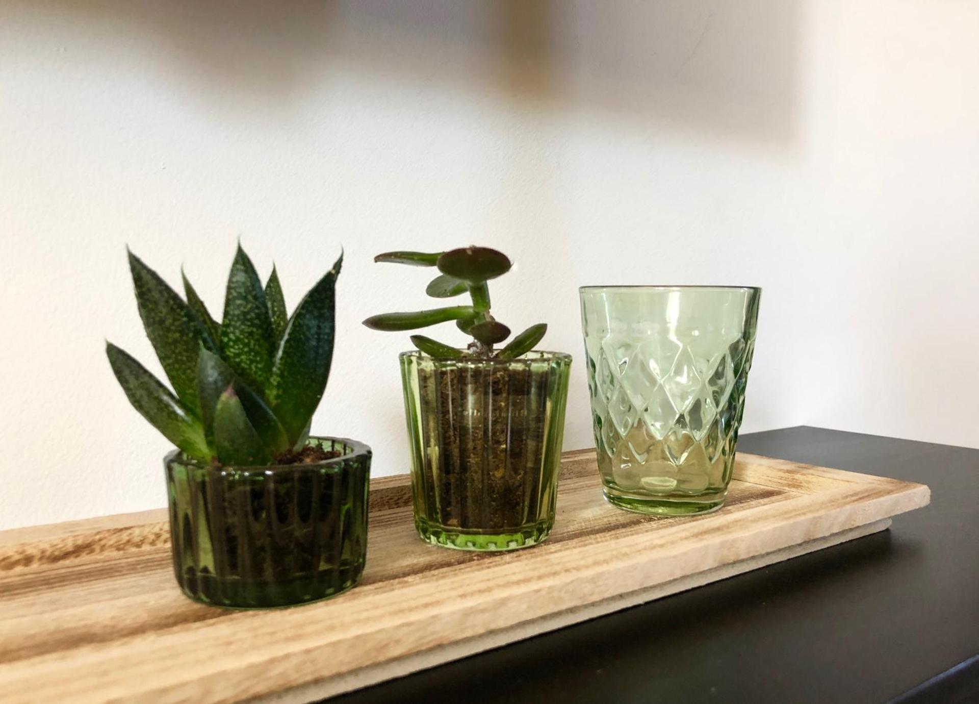 Appartement Casalea - Casadibastia - Bastia centre