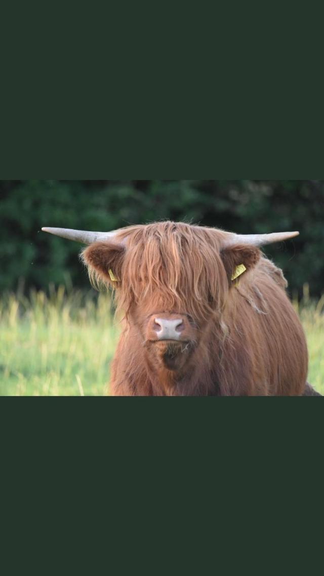Roe Valley Cottage - LA Spa Hot Tub