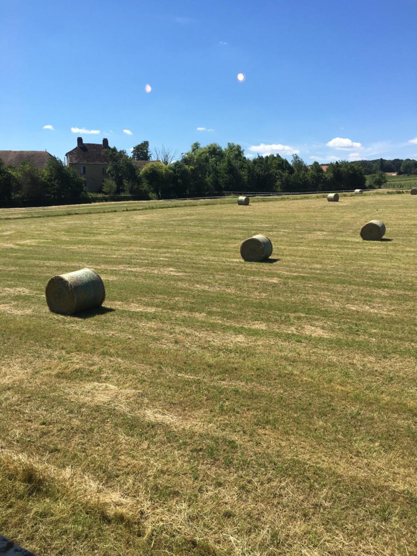 Gîte « les roblets »
