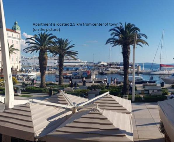 Apartment Butterfly Split - for rest and relaxation